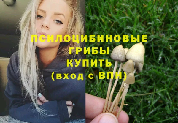гидра Волосово