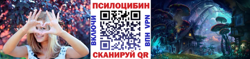 площадка формула  mega ONION  Псилоцибиновые грибы прущие грибы  Мглин  где купить наркоту 